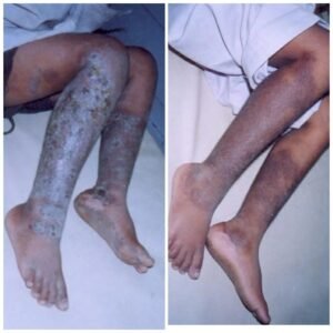 WhatsApp Image 2025-12-17 at 12.41.11 PM